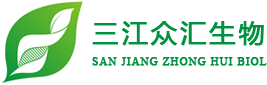 三江众汇