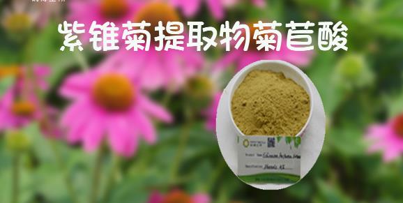 紫锥菊提取物的提取工艺和含量测定方法
