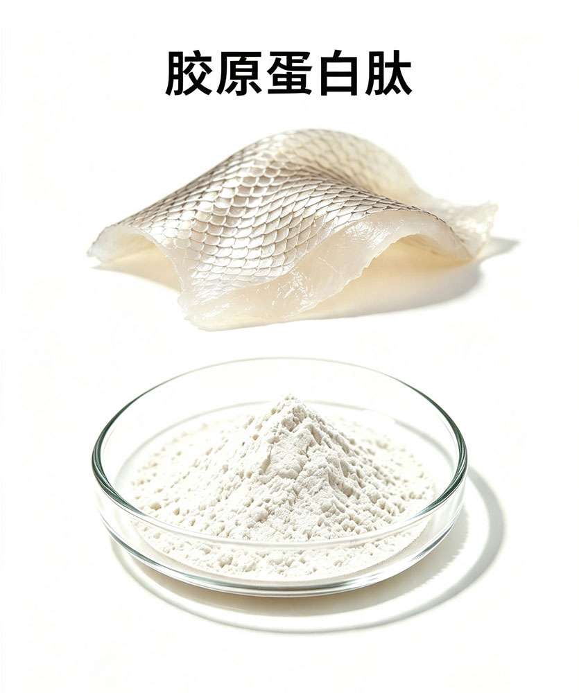 胶原蛋白肽