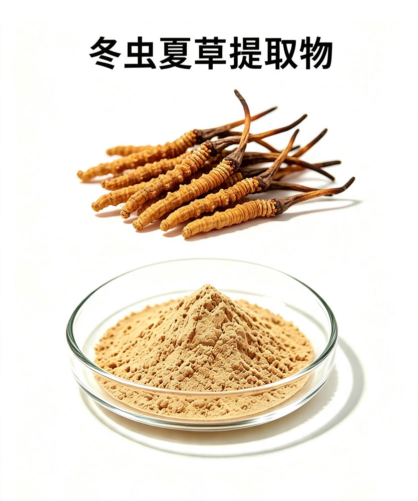 冬虫夏草提取物