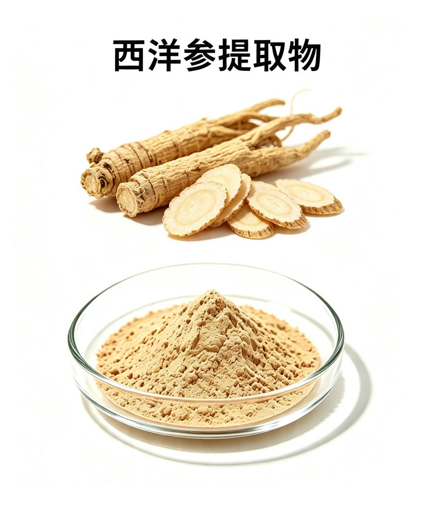 西洋参提取物