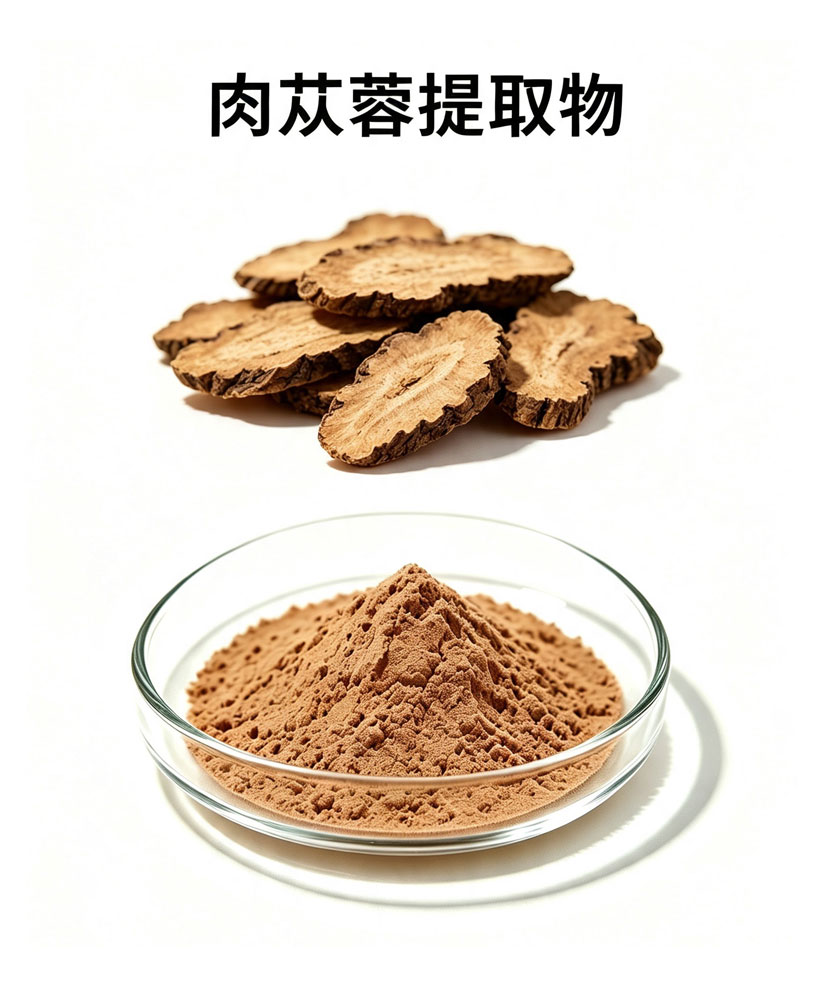 肉苁蓉提取物