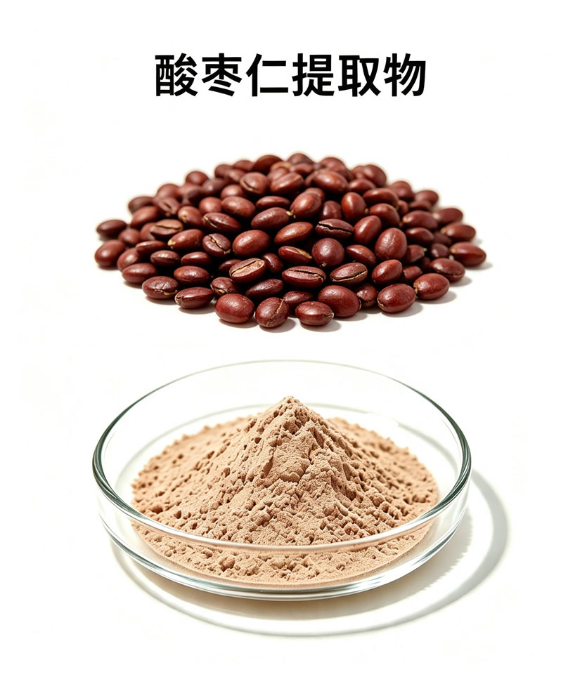 酸枣仁提取物
