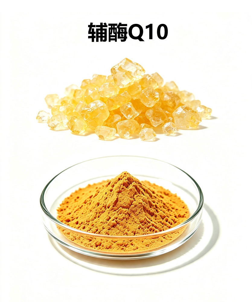 辅酶Q10